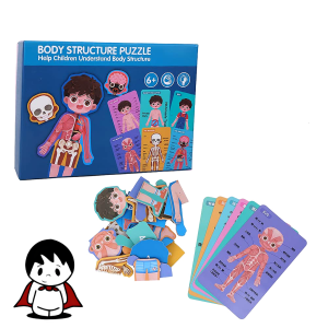 پازل آموزشی آناتومی بدن انسان, قطعات چوبی پازل لایه‌ای بدن انسان, کودک در حال چیدن پازل آناتومی, لایه‌های مختلف پازل اسکلت و اعضای بدن