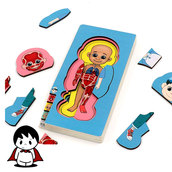 پازل اعضای بدن انسان چند لایه | آشنایی با آناتومی - تصویر 2