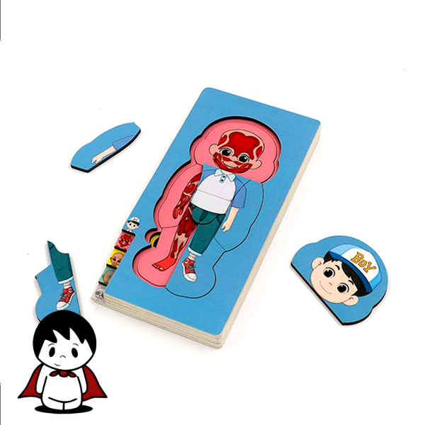 پازل اعضای بدن انسان چند لایه | آشنایی با آناتومی - تصویر 3