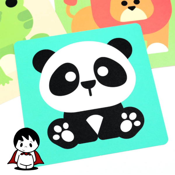 کارت های تحریک بینایی نوزاد Baby Vision | تقویت هوش و تمرکز - تصویر 4